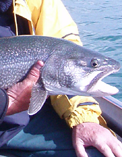 Eagle Lake Lake Trout Fishing